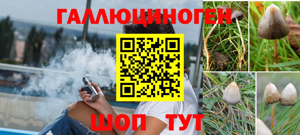 Семёнов  Псилоцибиновые грибы Psilocybine cubensis  Вход с VPN 