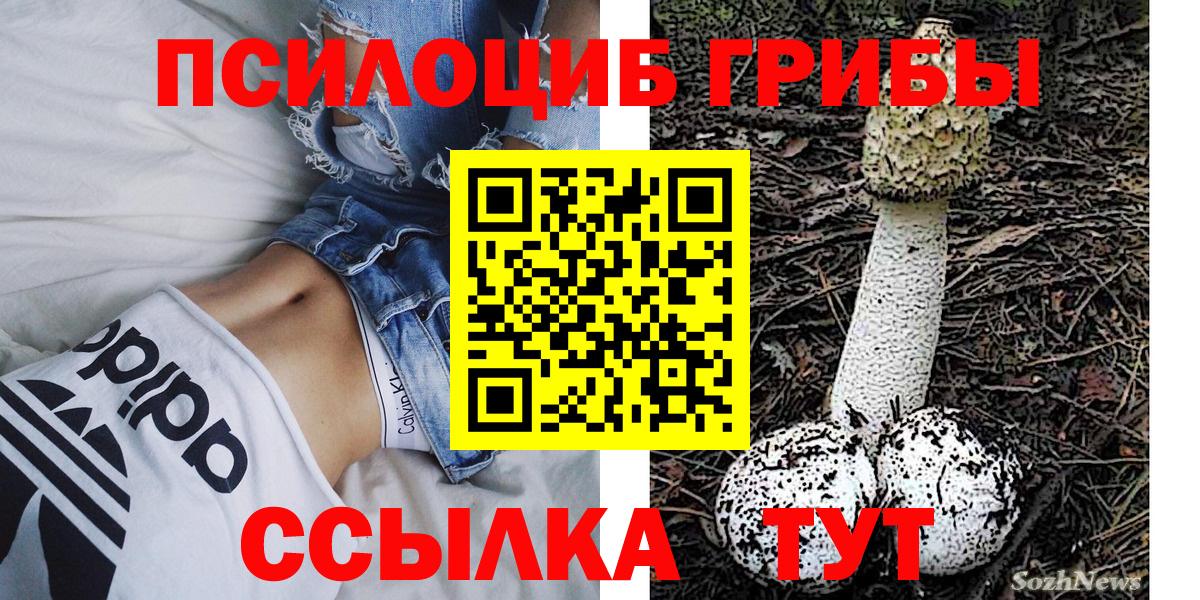 Псилоцибиновые грибы Psilocybine cubensis Семёнов