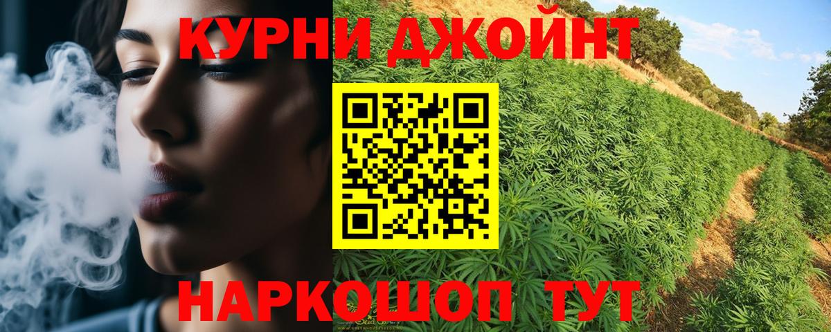 Конопля SATIVA & INDICA Семёнов